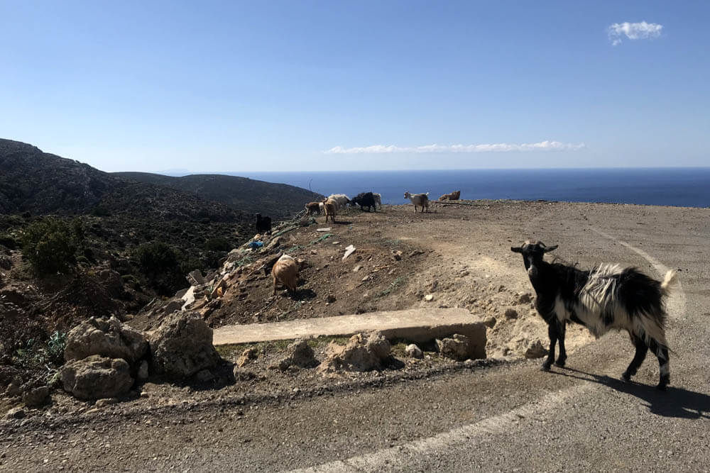 Die schönsten Ecken der traumhaften Insel Kreta